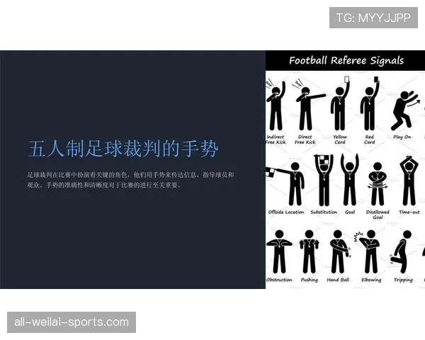 足球判罚标准详解：关键判定条件与裁判执行原则