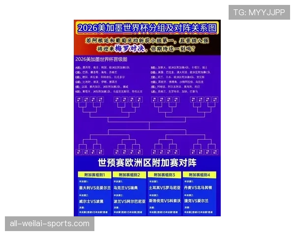 2026世界杯第三名晋级案例解析